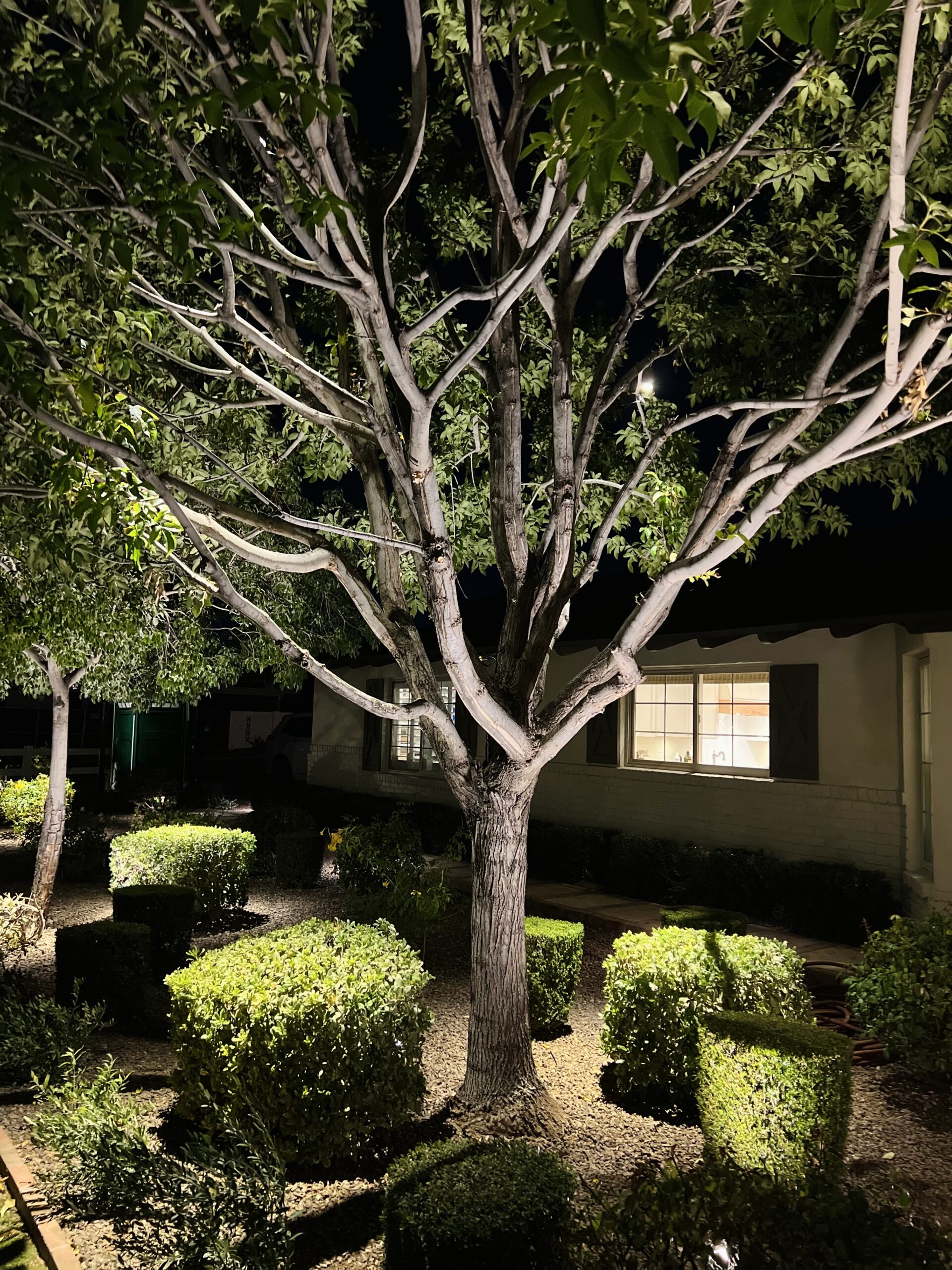 Landscape Lighting Installation