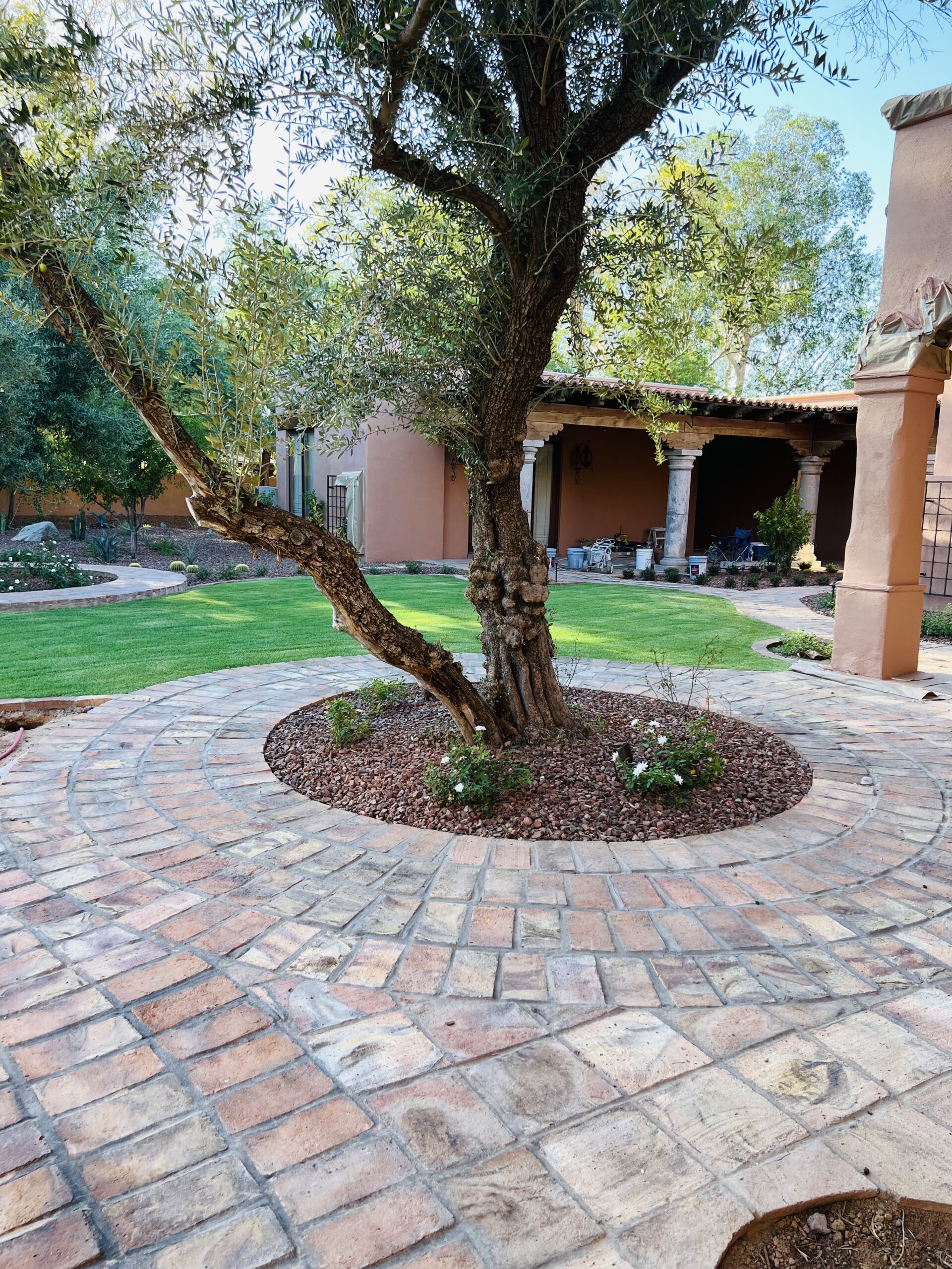 Iconic Landscape Development 1062