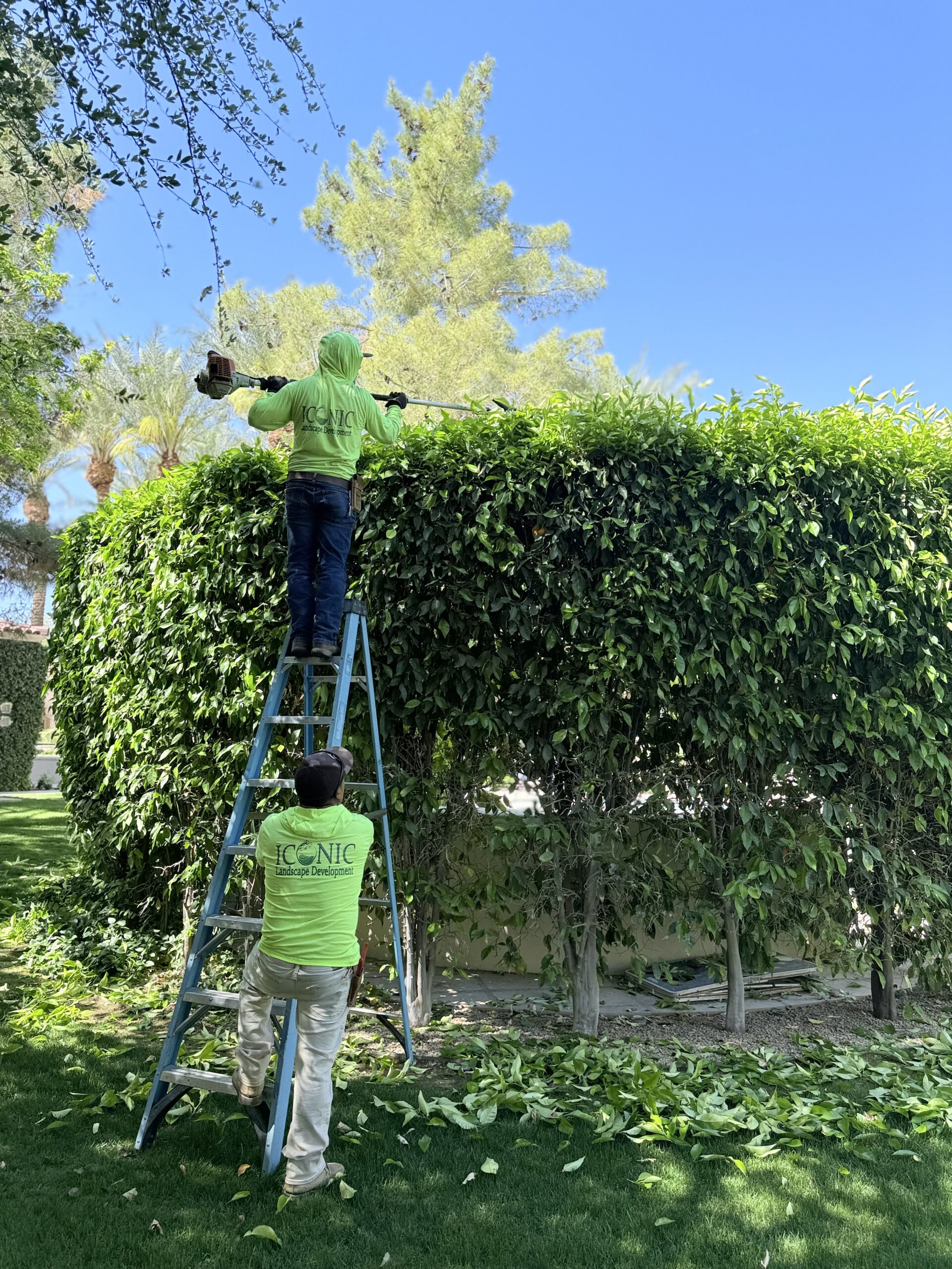 Iconic Landscape 1031