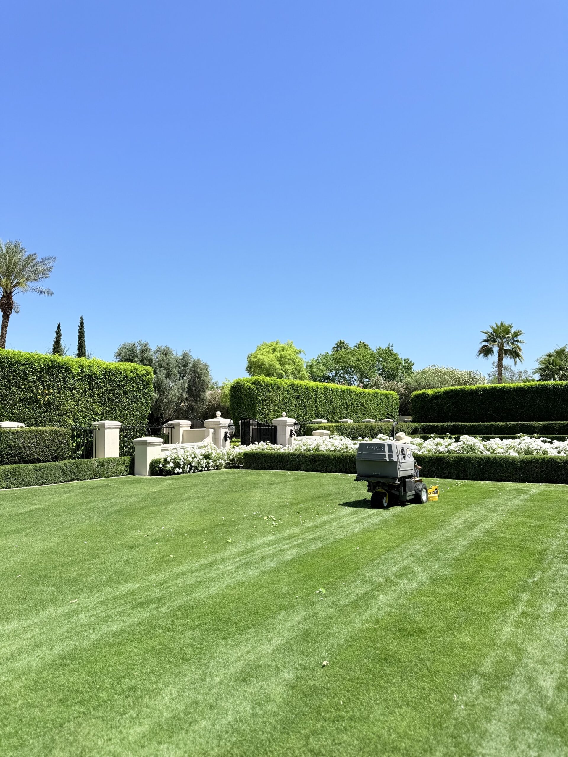 Iconic Landscape 1029