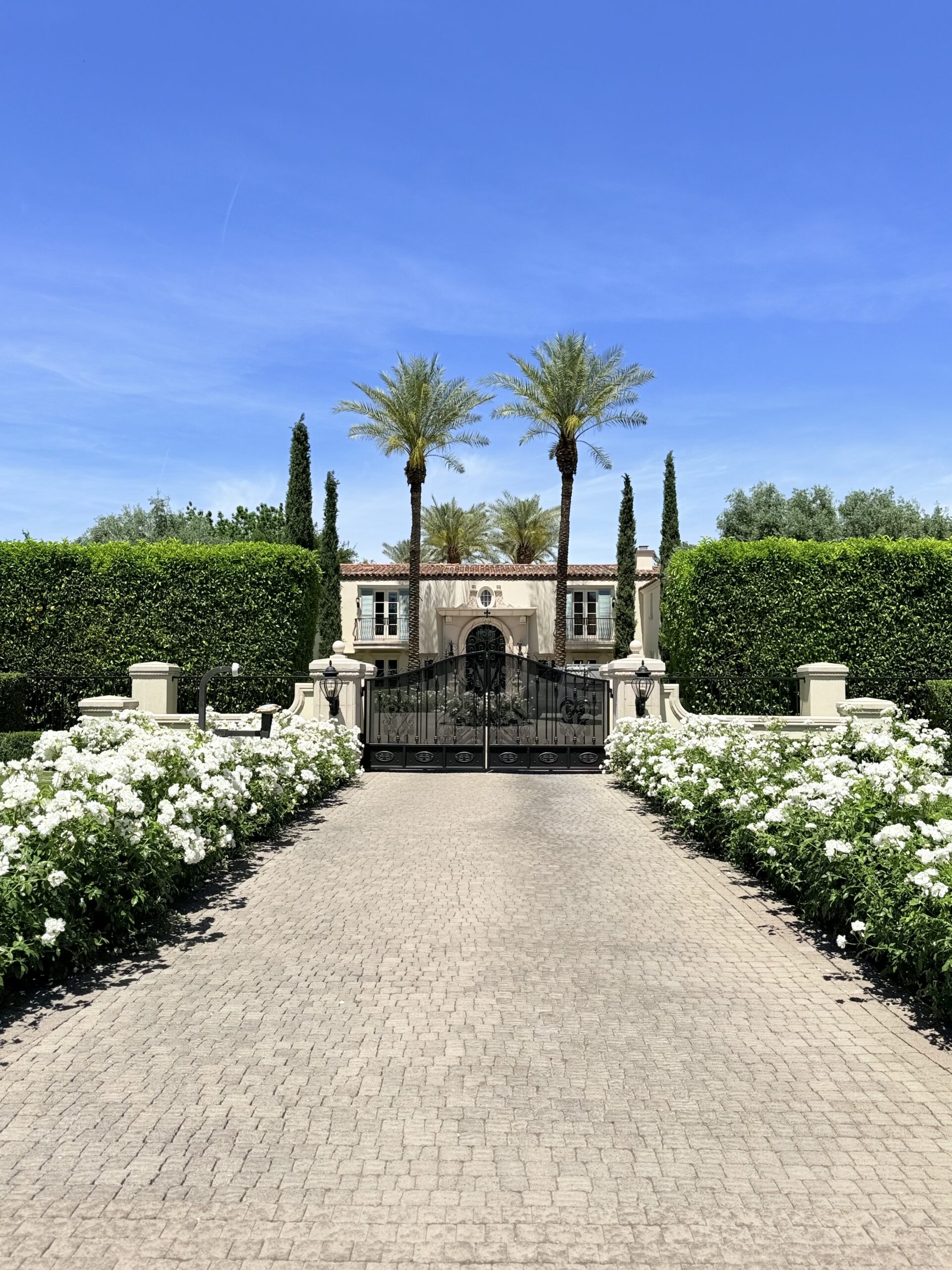 Iconic Landscape 1019