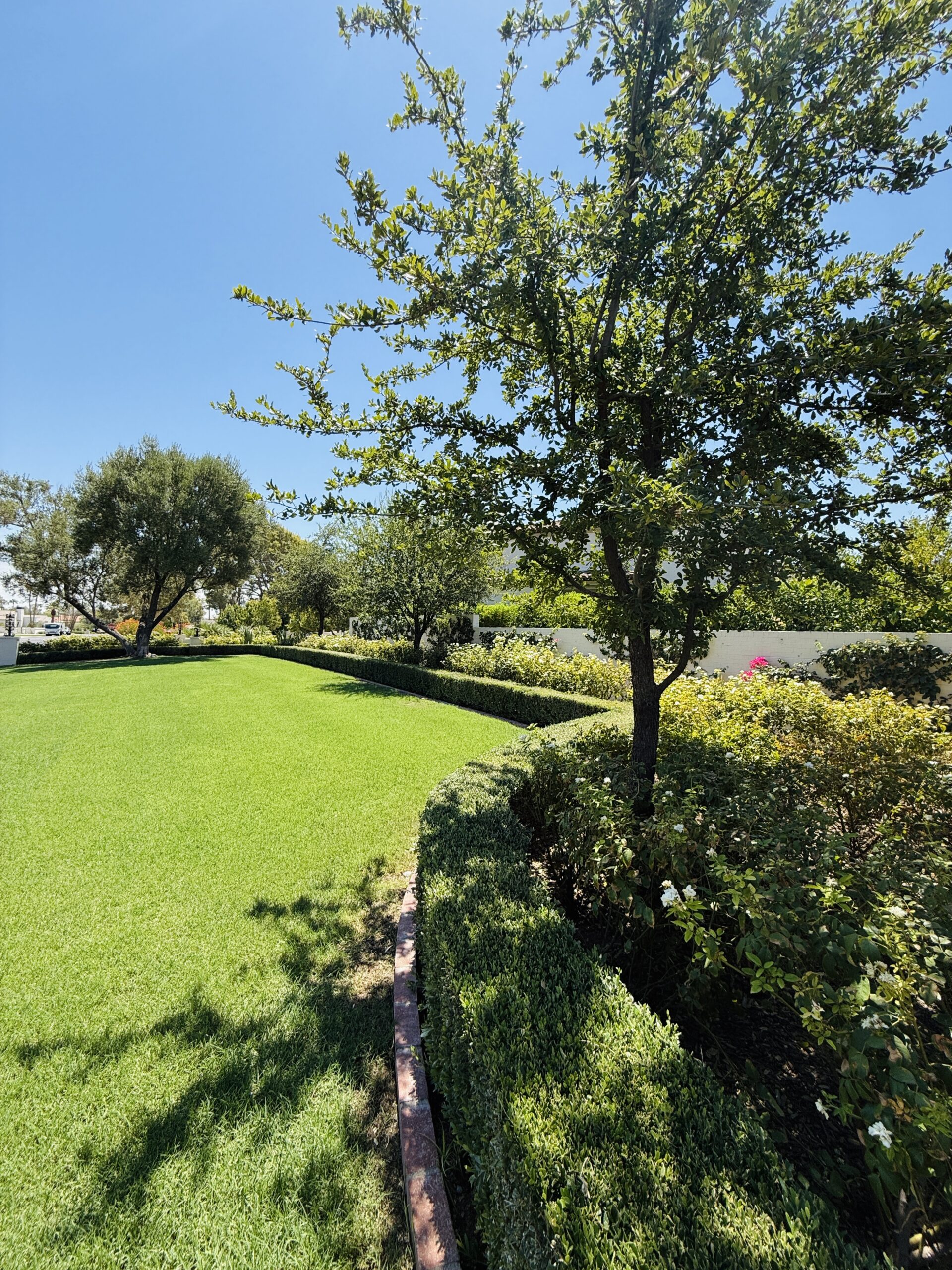 Iconic Landscape 1010