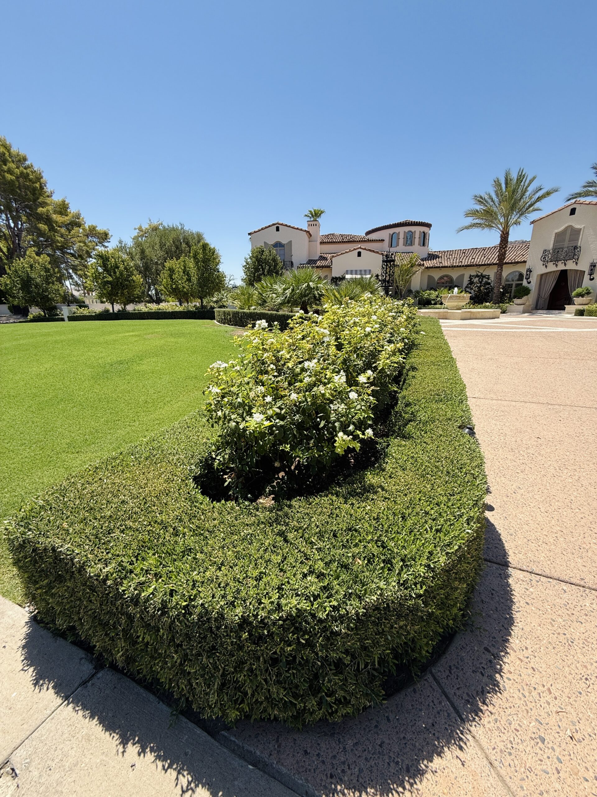 Iconic Landscape 1024