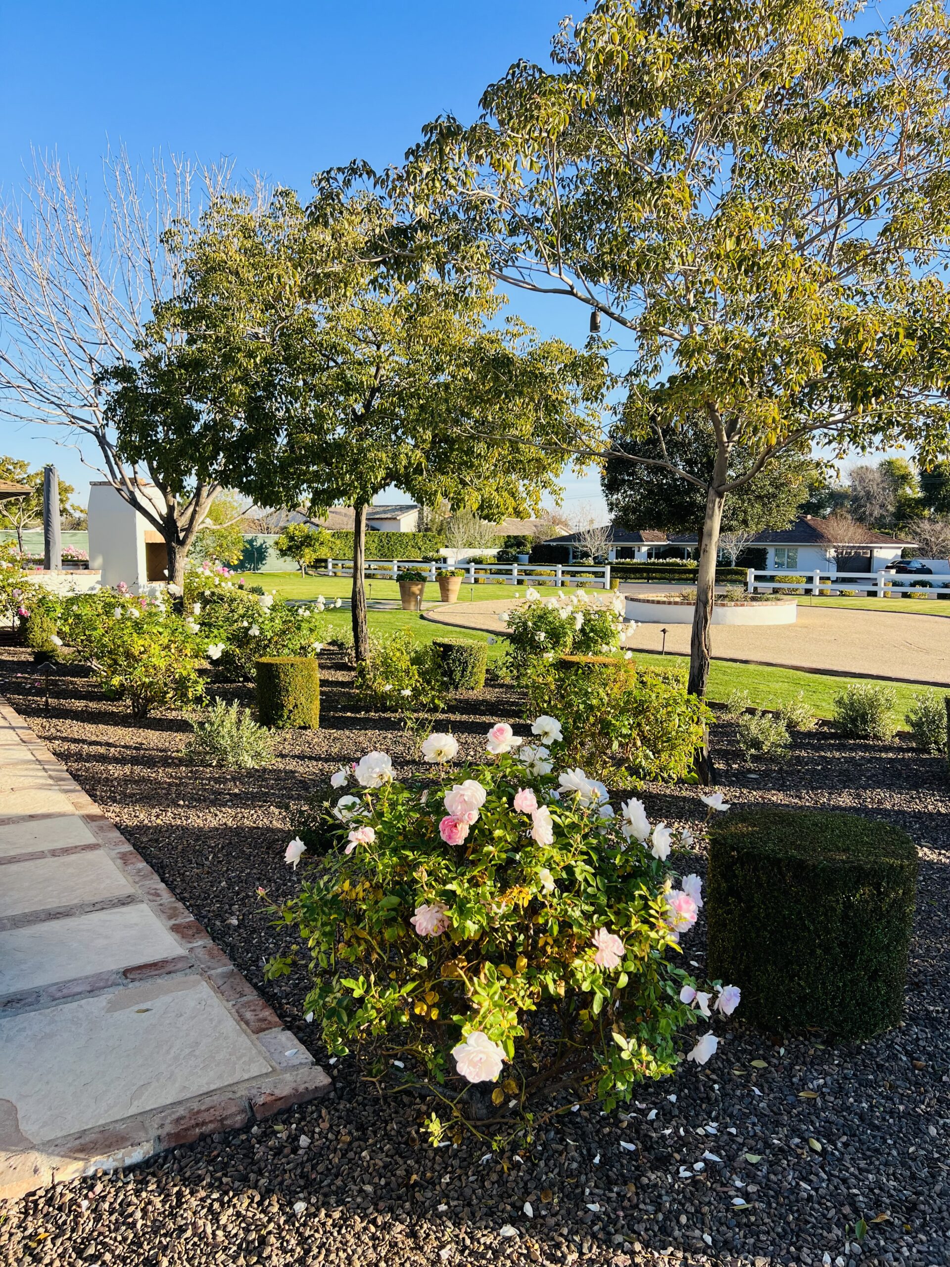 Iconic Landscape 1033