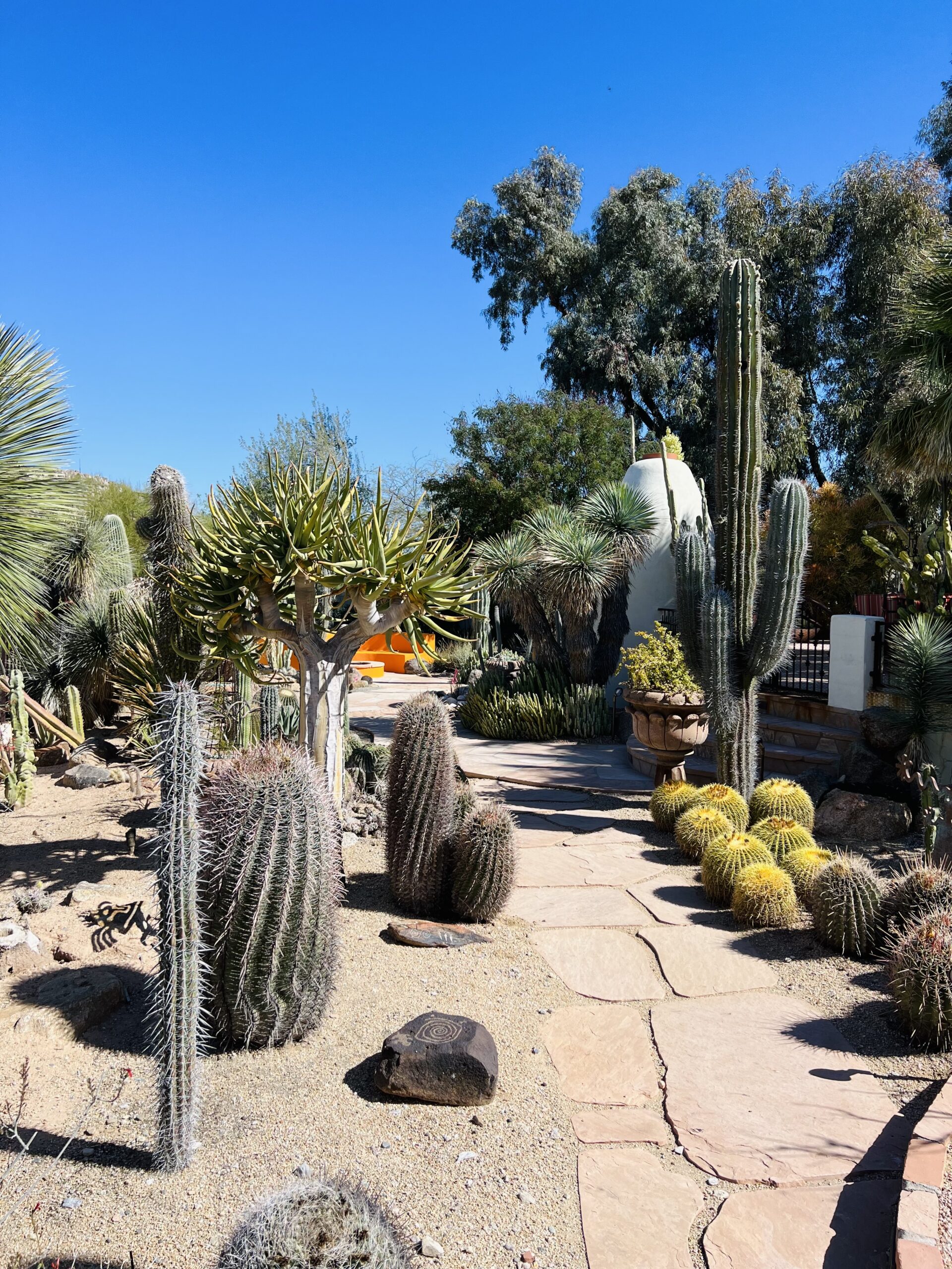 Iconic Landscape 1034