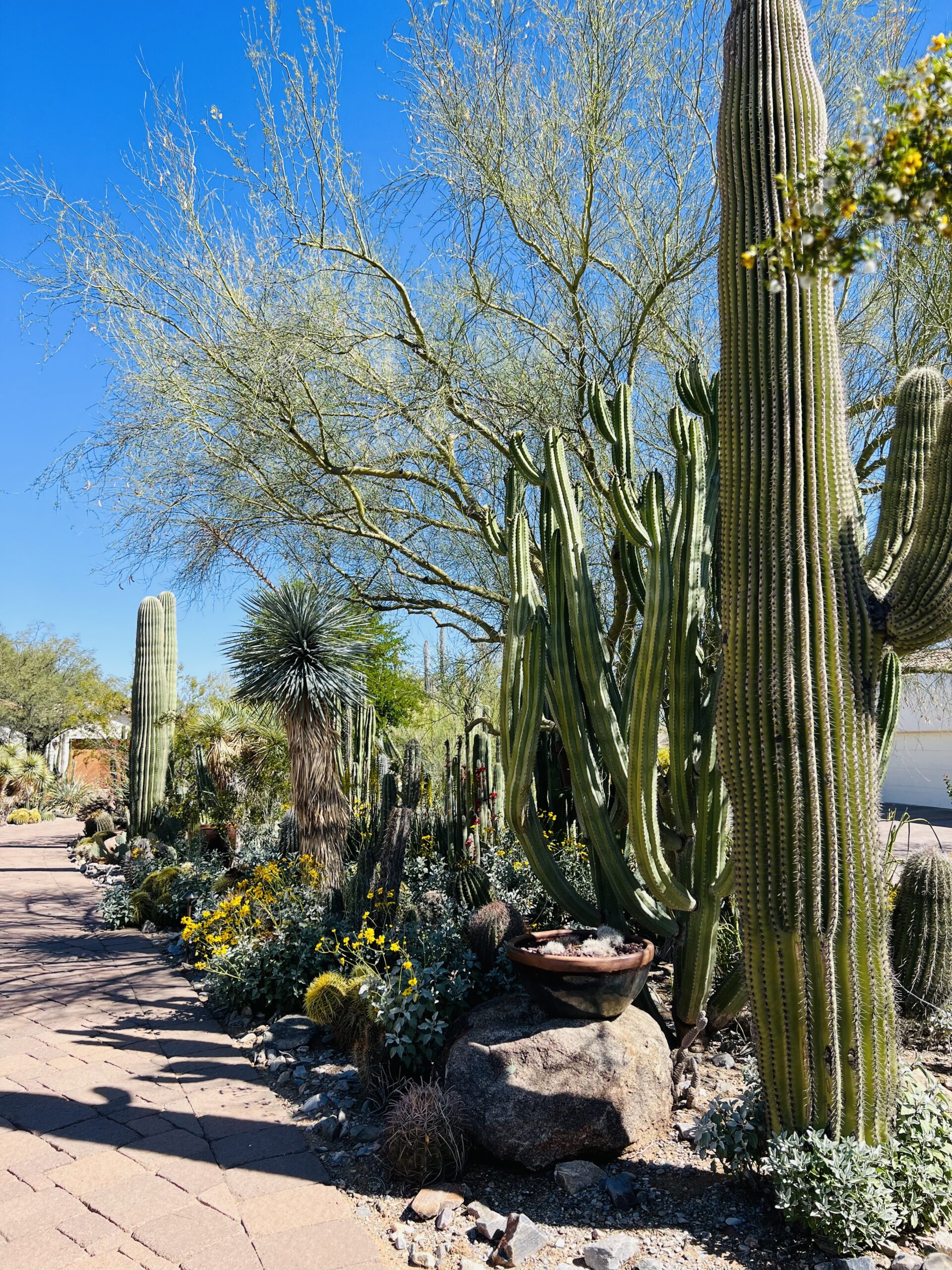 Iconic Landscape 1017