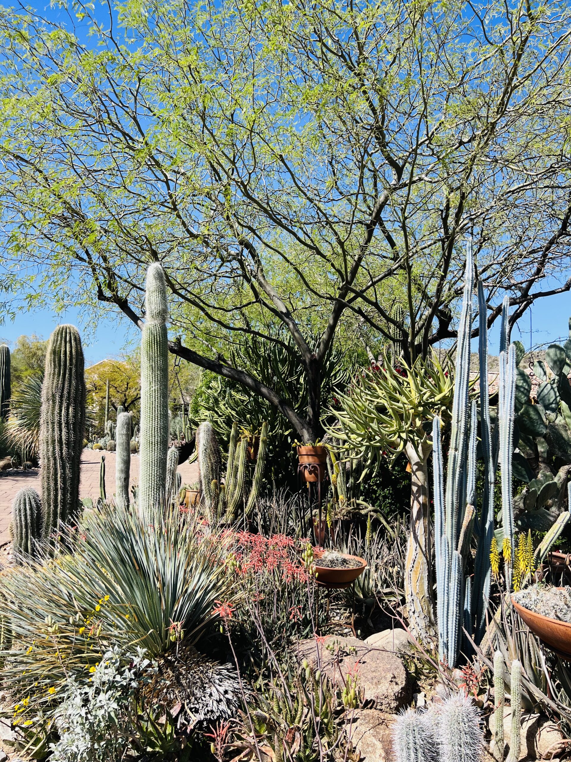 Iconic Landscape 1039