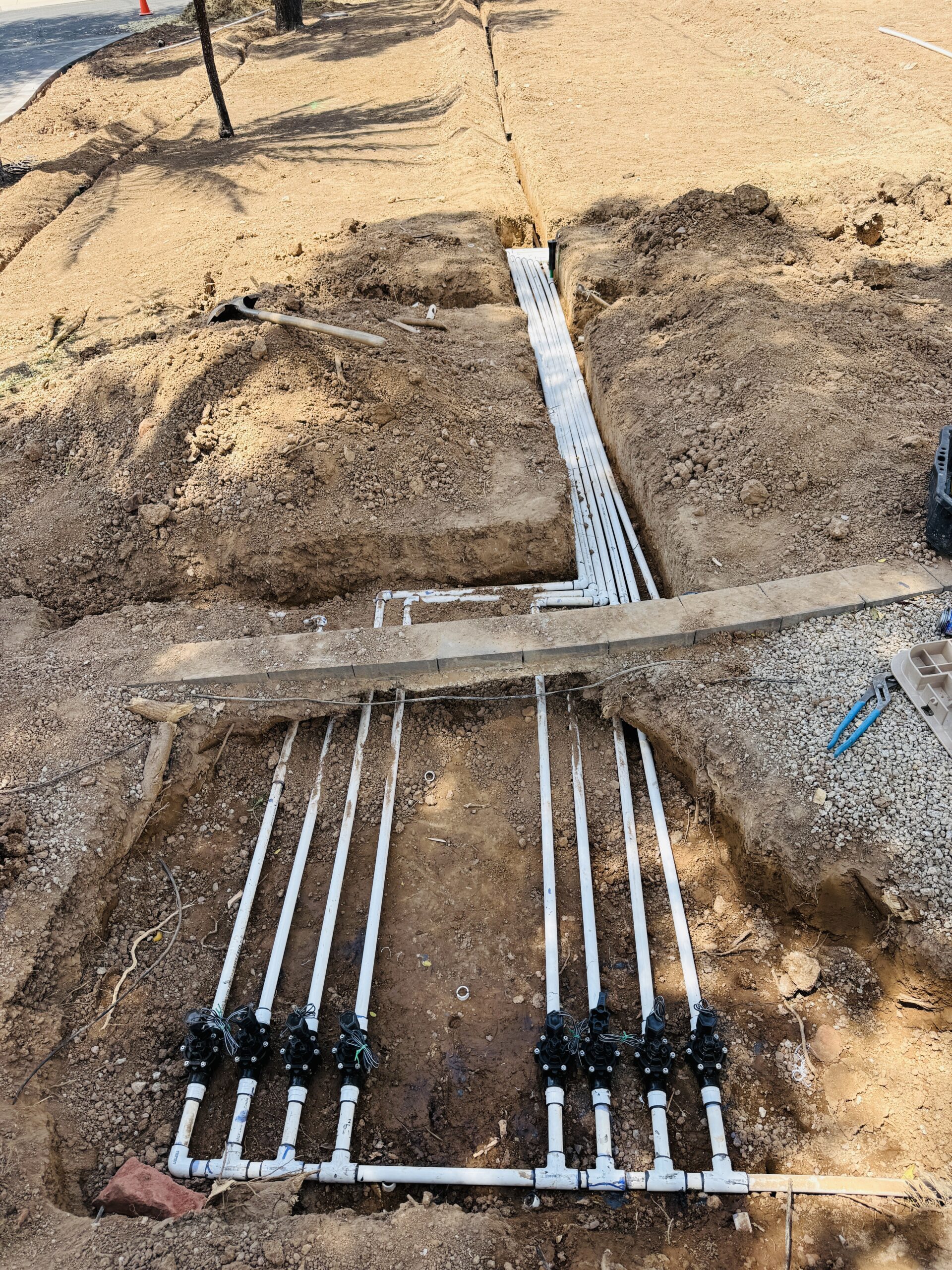 Iconic Landscape Development 1098