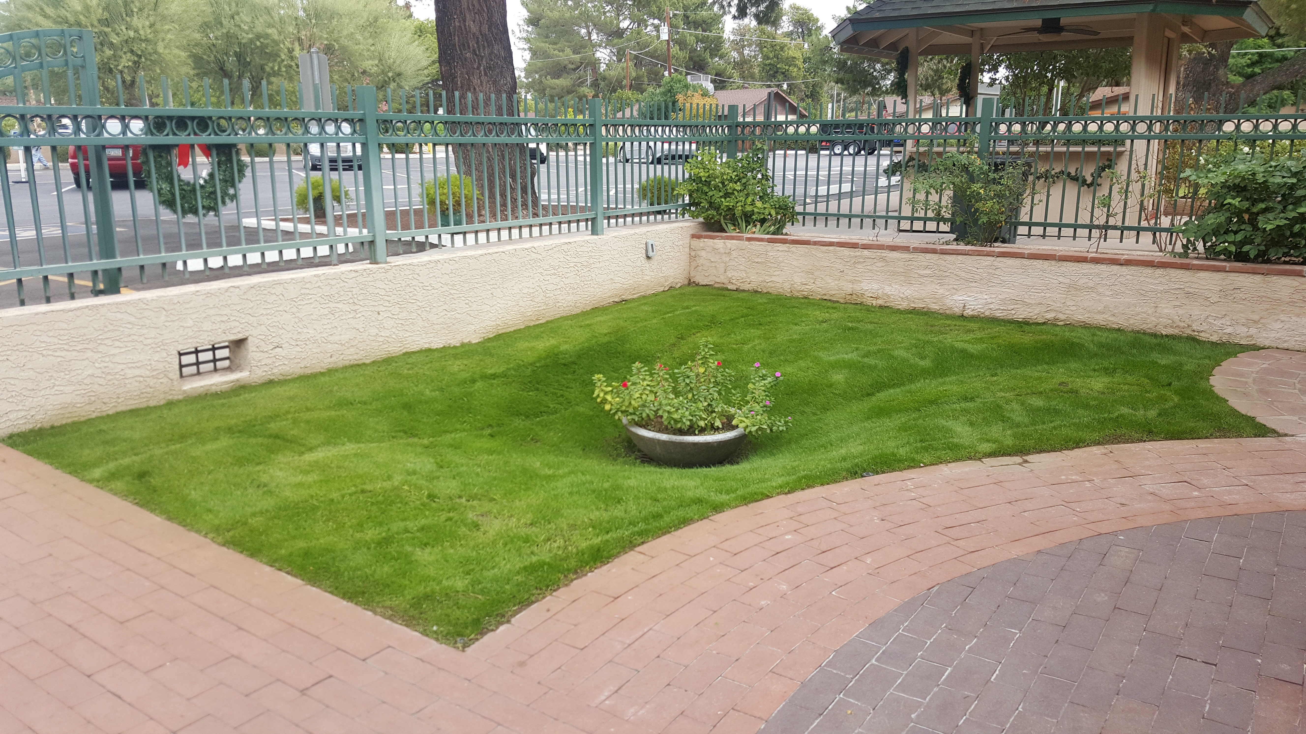 Lawn Care Service in Paradise Valley Arizona