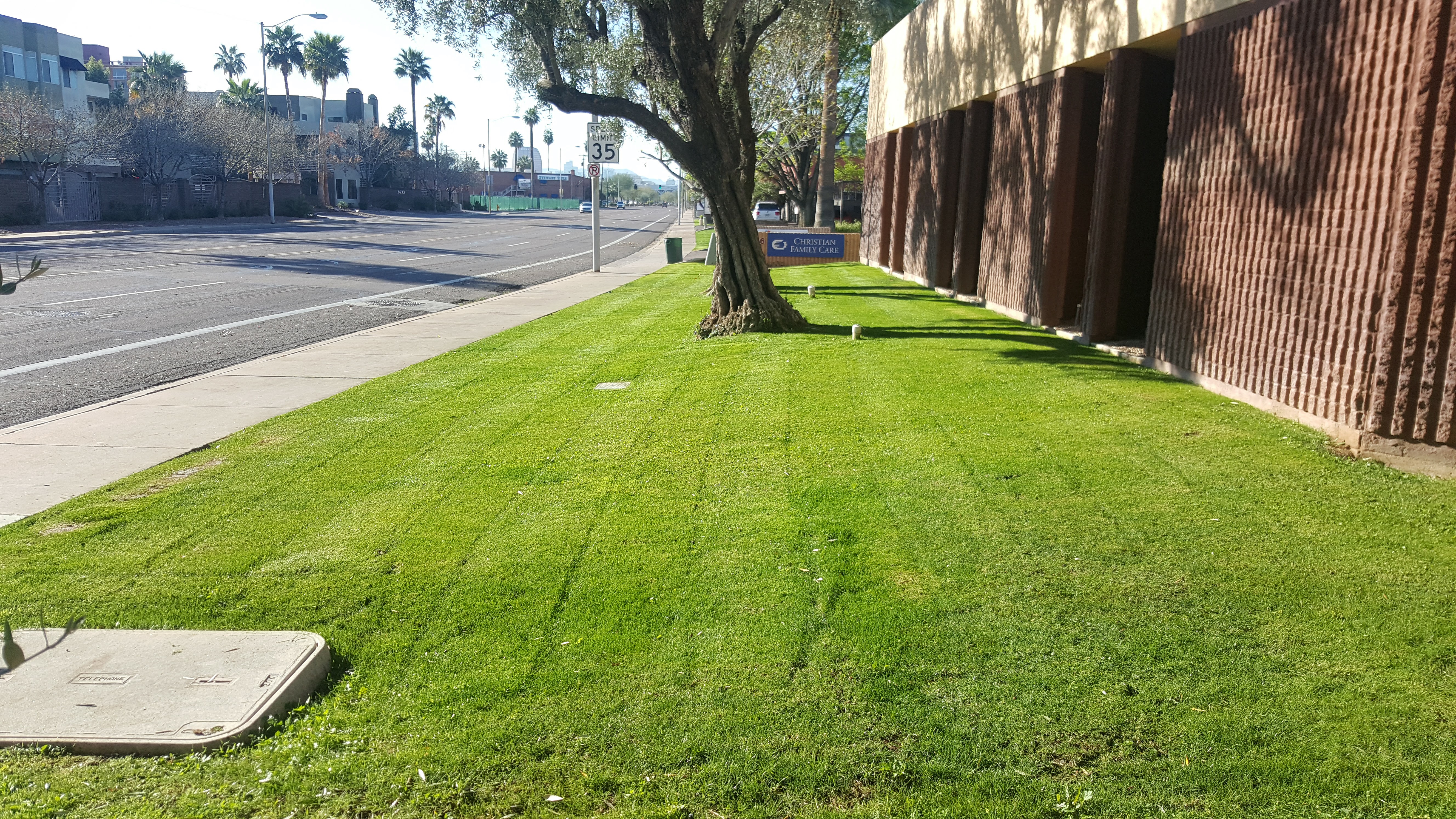 Lawn Service in Scottsdale Arizona